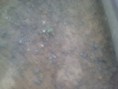 /album/fotogaleria/a1122021751b-jpg/